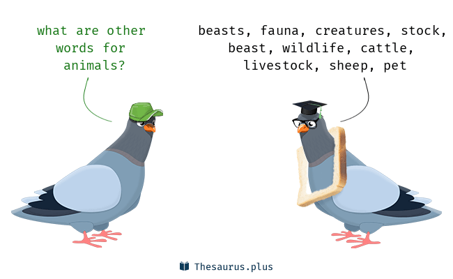 other words for animals