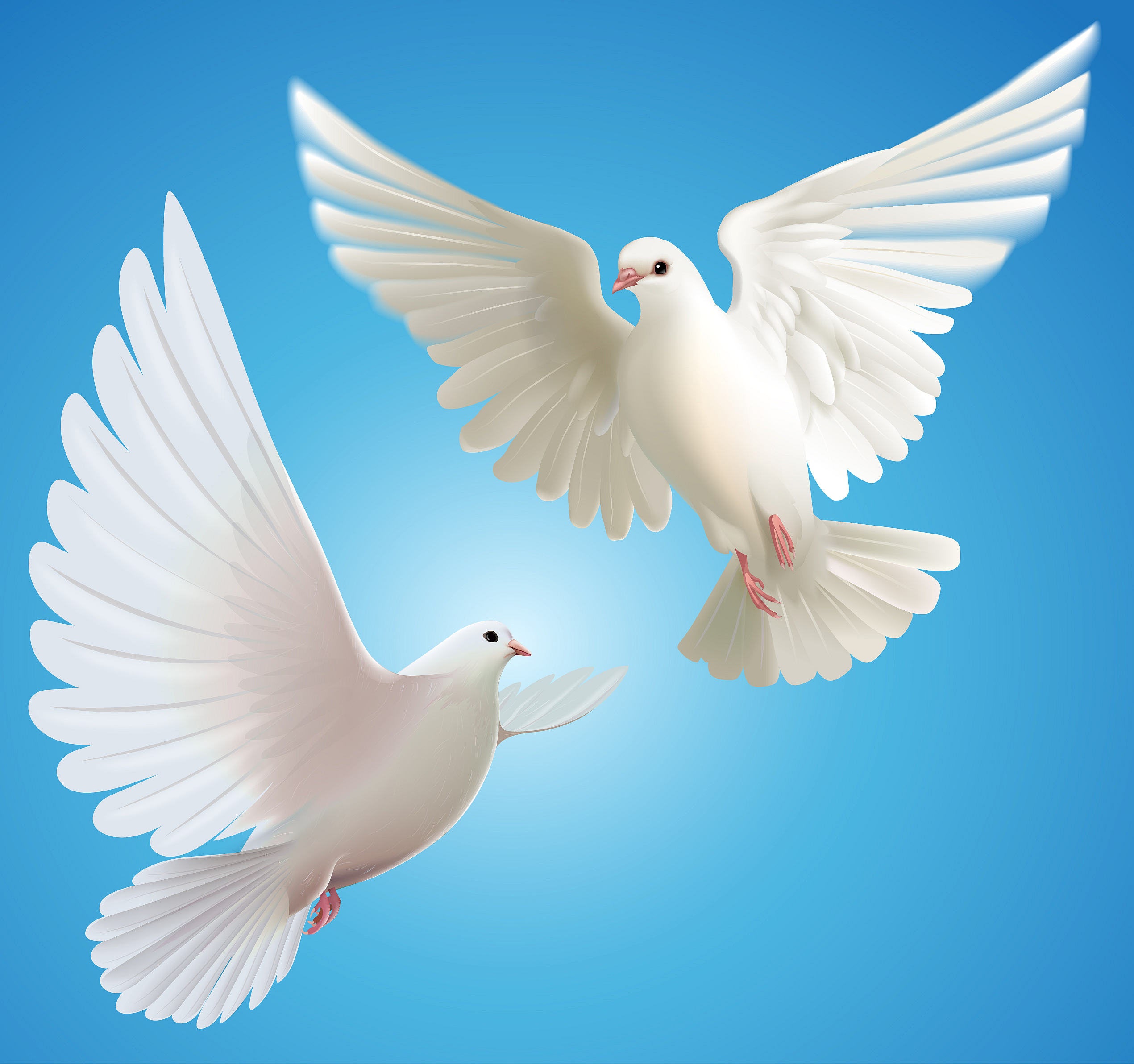 doves clipart