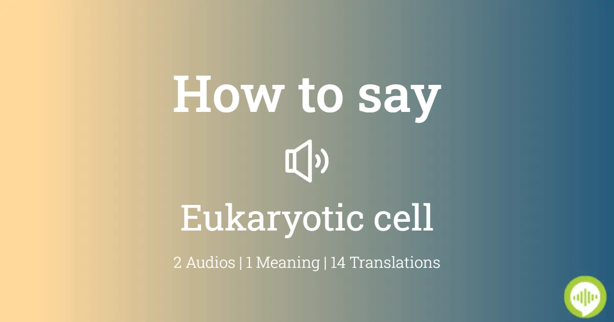 how to pronounce eukaryotic