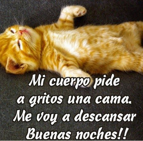 imagenes de buenas noches chistosas para whatsapp