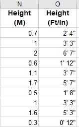 feet and inches converter to meters