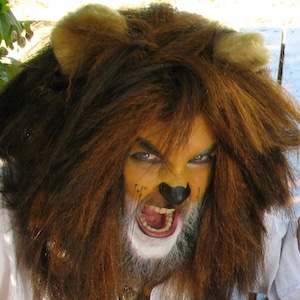 diy lion costume for adults