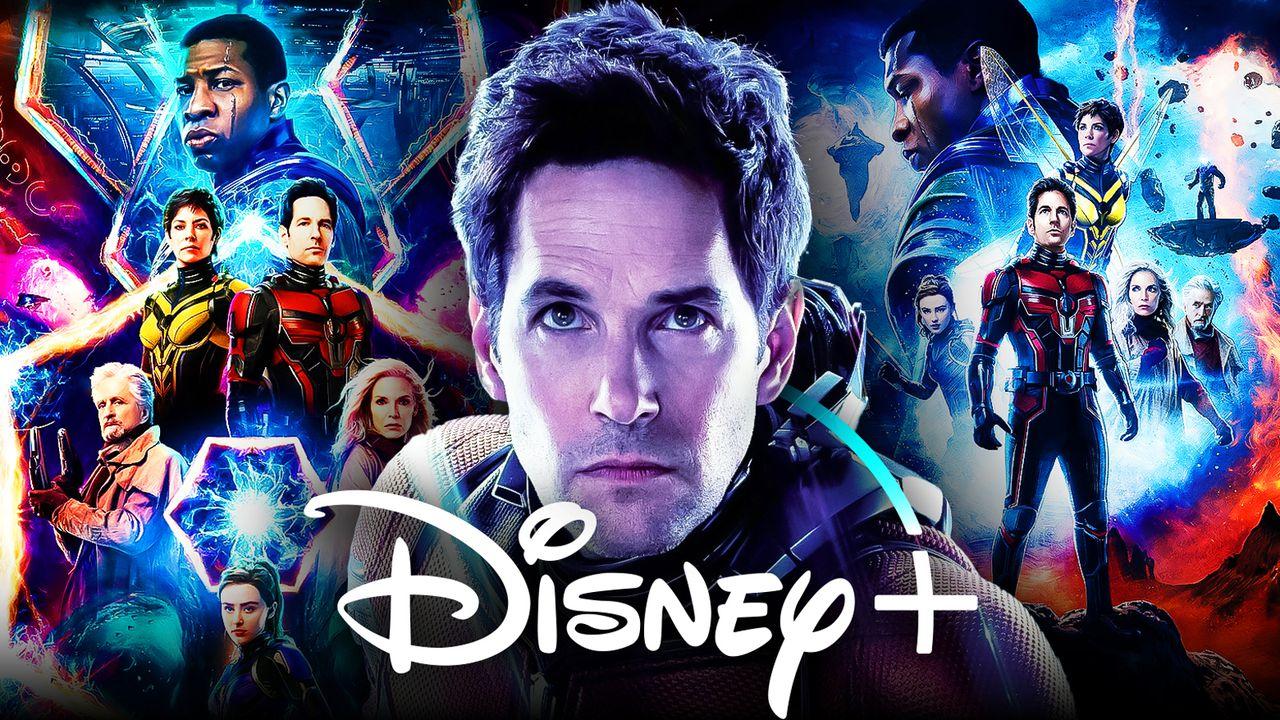 ant man 3 disney plus