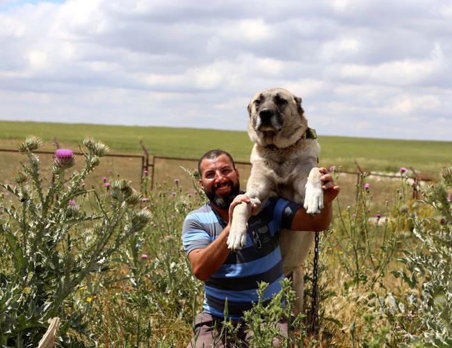 tuscany dog attack