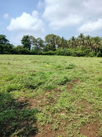 farm for sale san pablo laguna