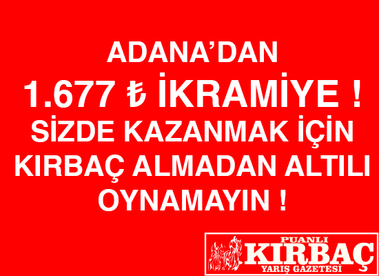 puanlı kırbaç