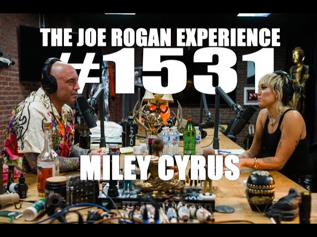 youtube joe rogan experience