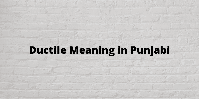 ductile meaning in punjabi