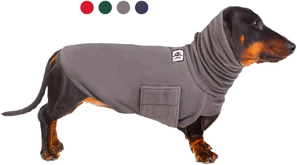 clothes dachshund