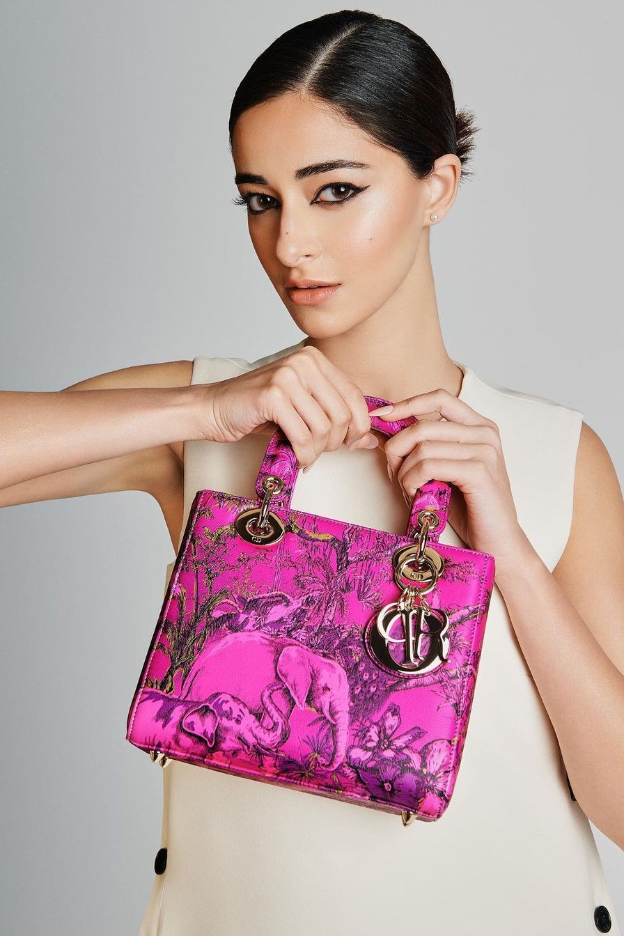 dior purse for women