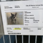 norco animal control shelter photos