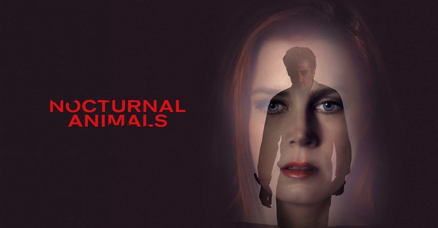 nocturnal animals stream