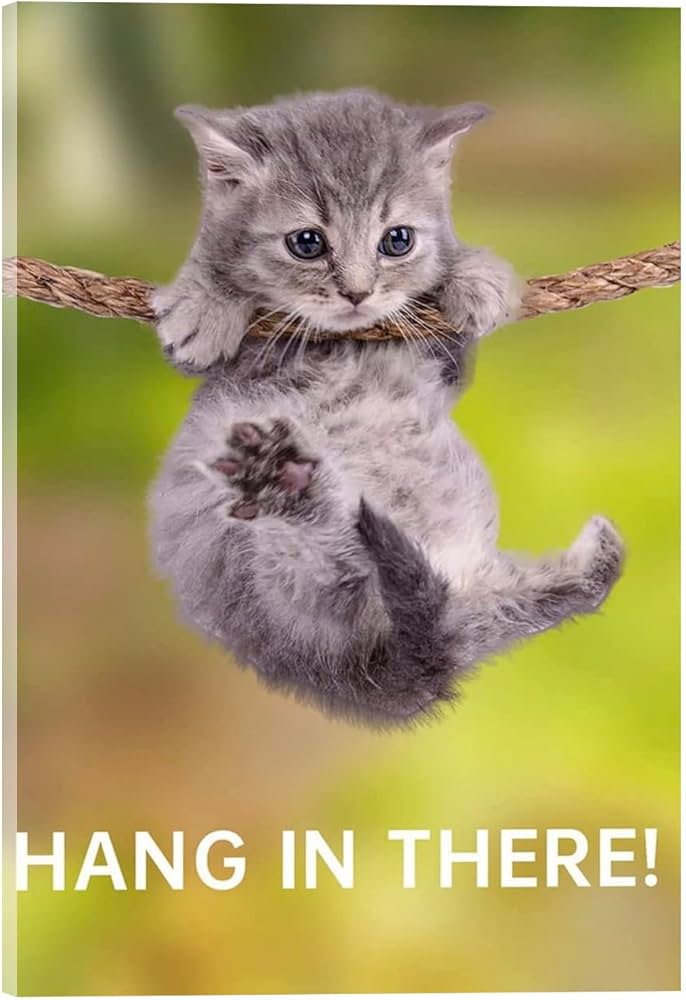 hang in there poster