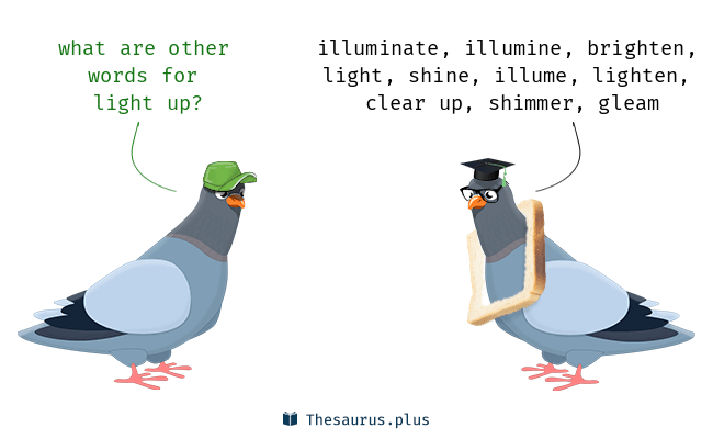 another word for light up