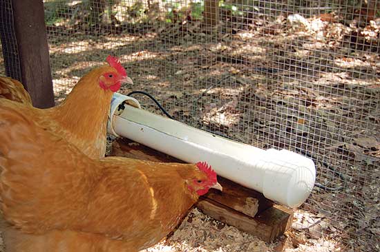 diy chick water feeder