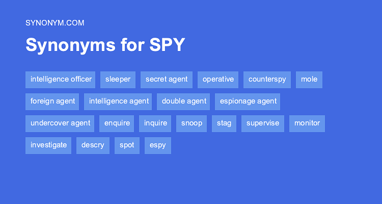 snooping synonym