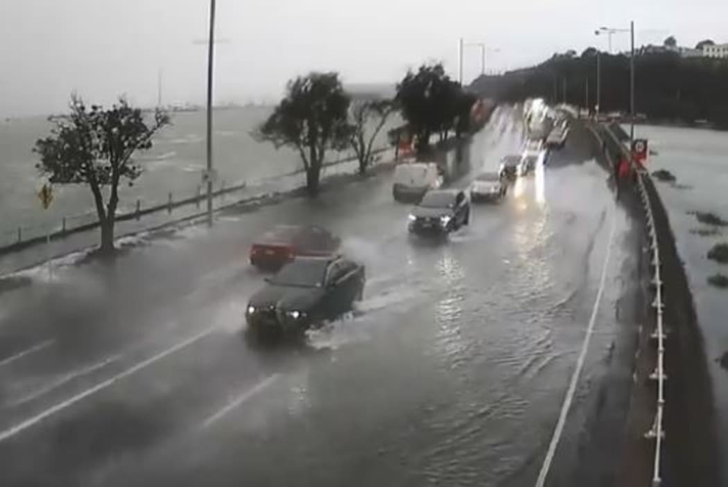 rain in auckland today