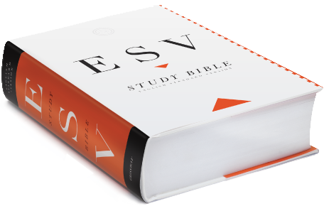 esv online