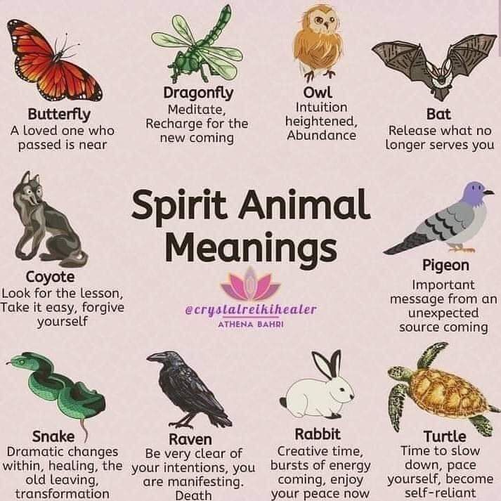 spirit animal meaning in hindi