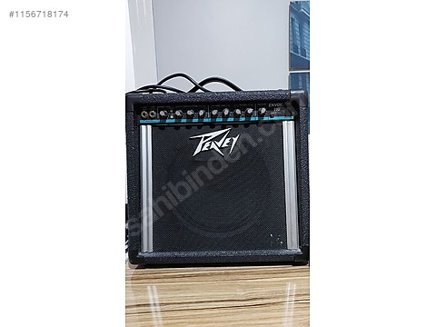 peavey envoy 110