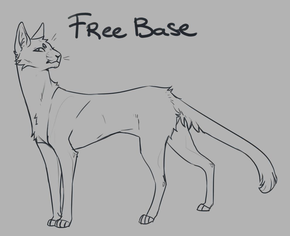 warrior cat bases