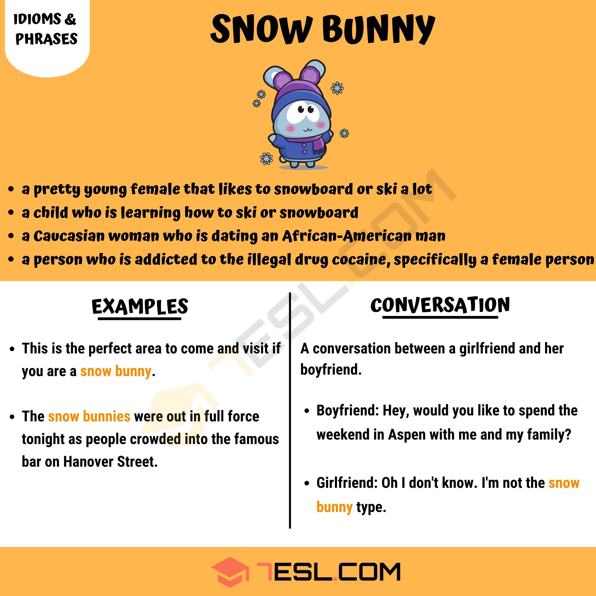 snow bunny definition