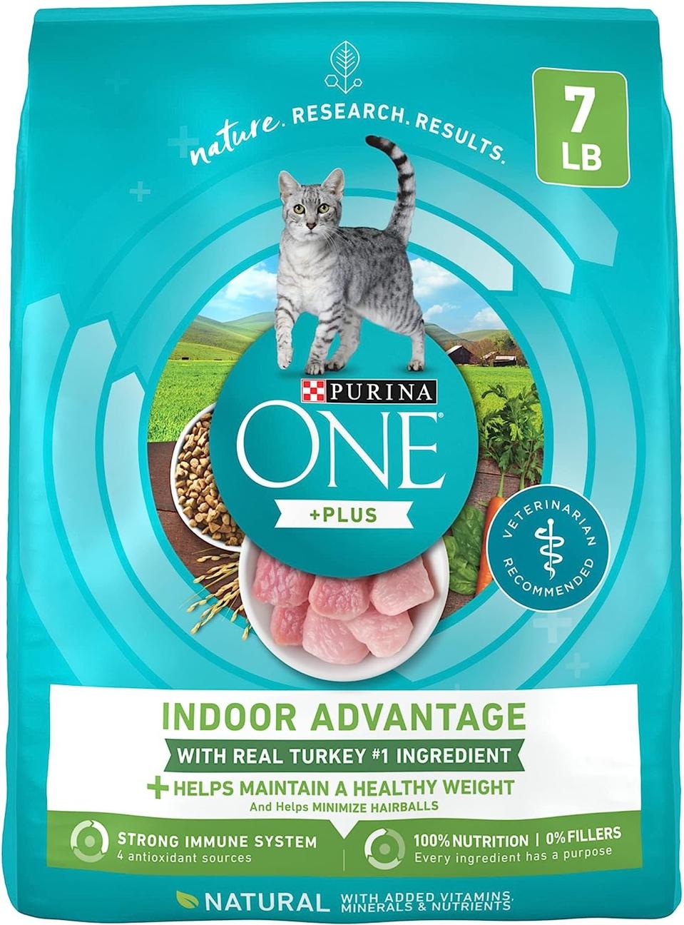 top rated dry cat food