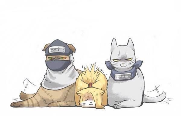 deidara cats