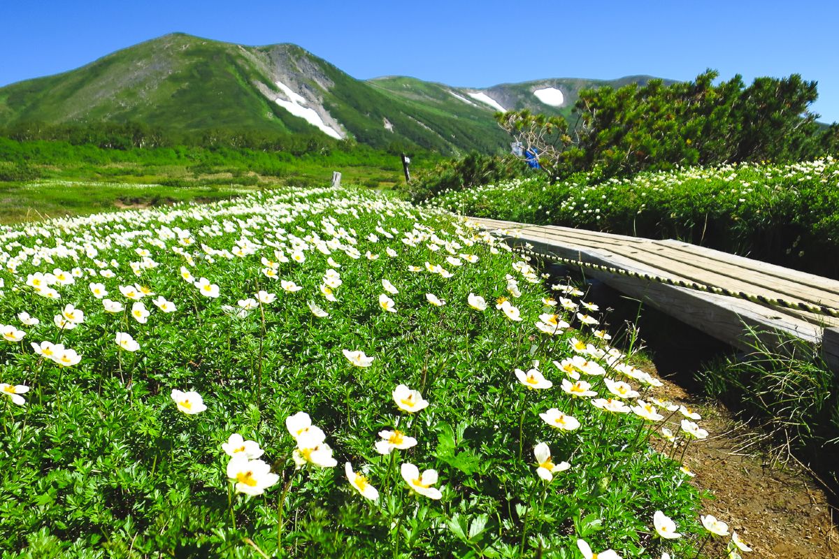 hokkaido weather april 2020