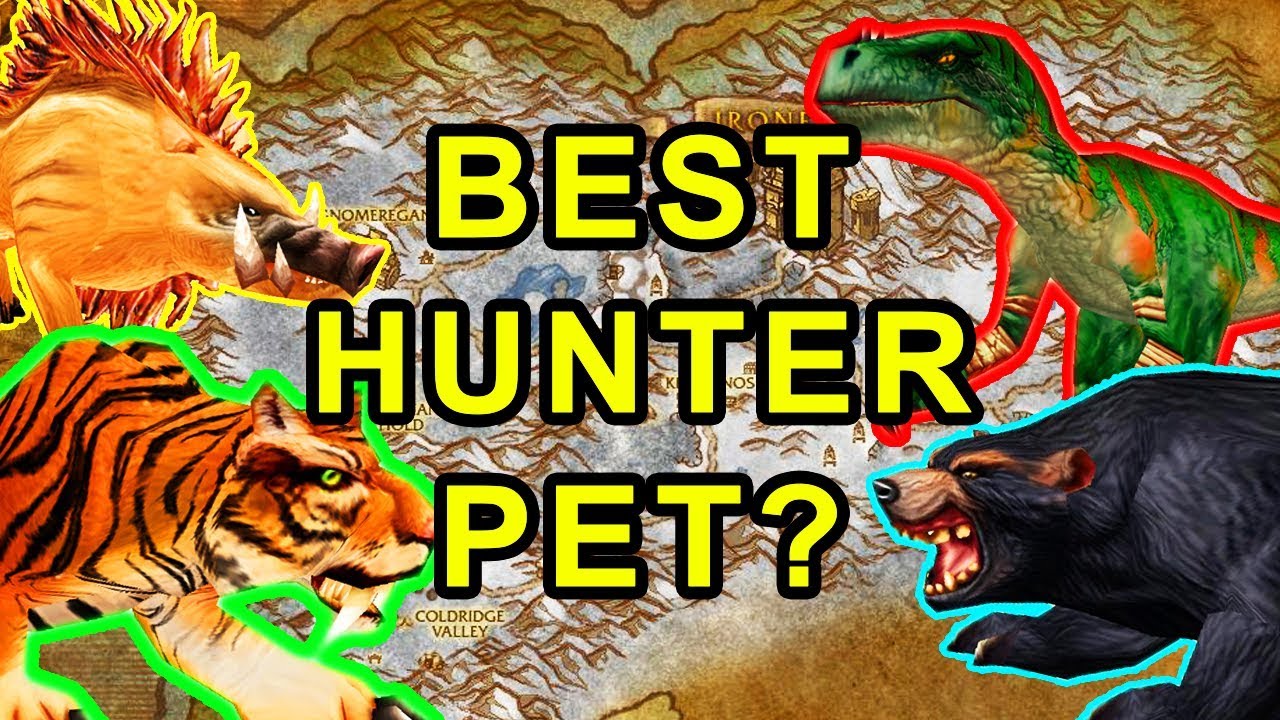 wow classic pets