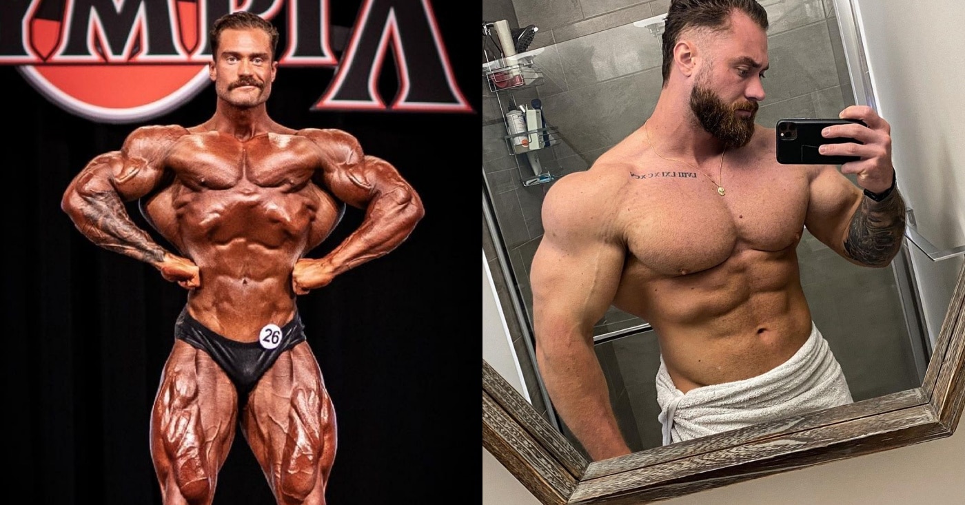 chris bumstead bulk