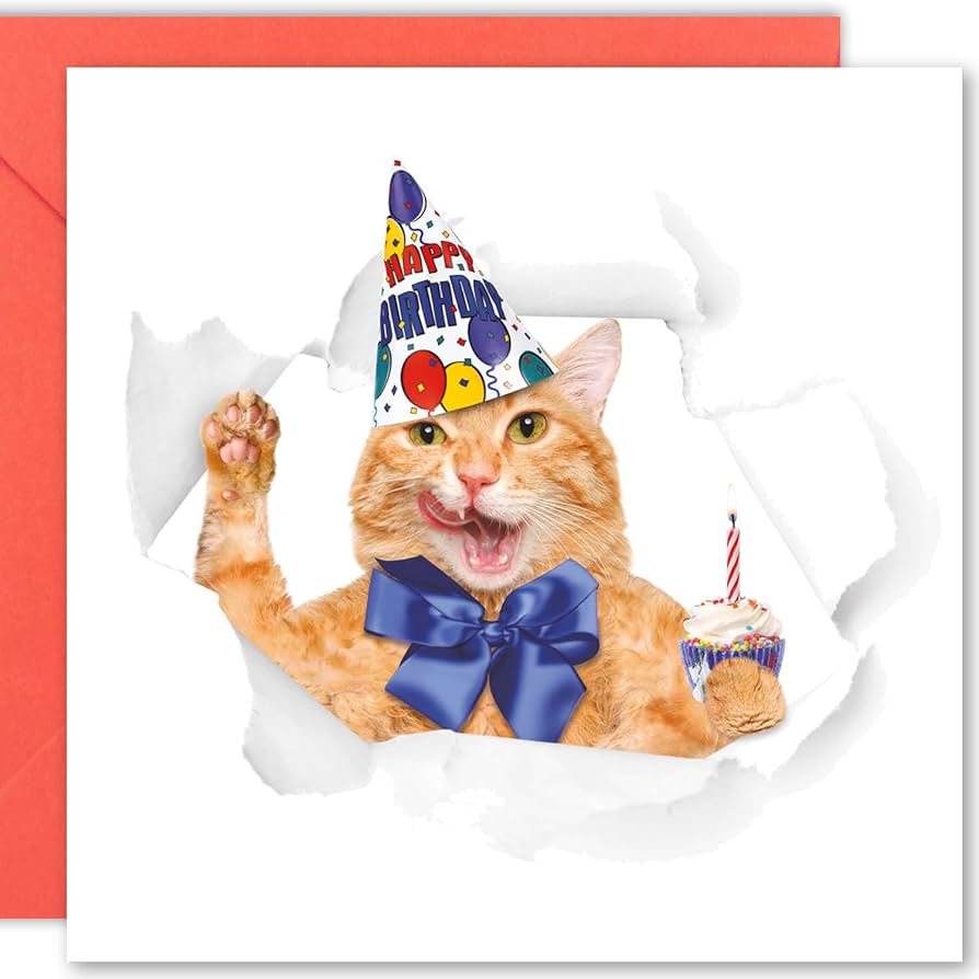 funny cat birthday cards