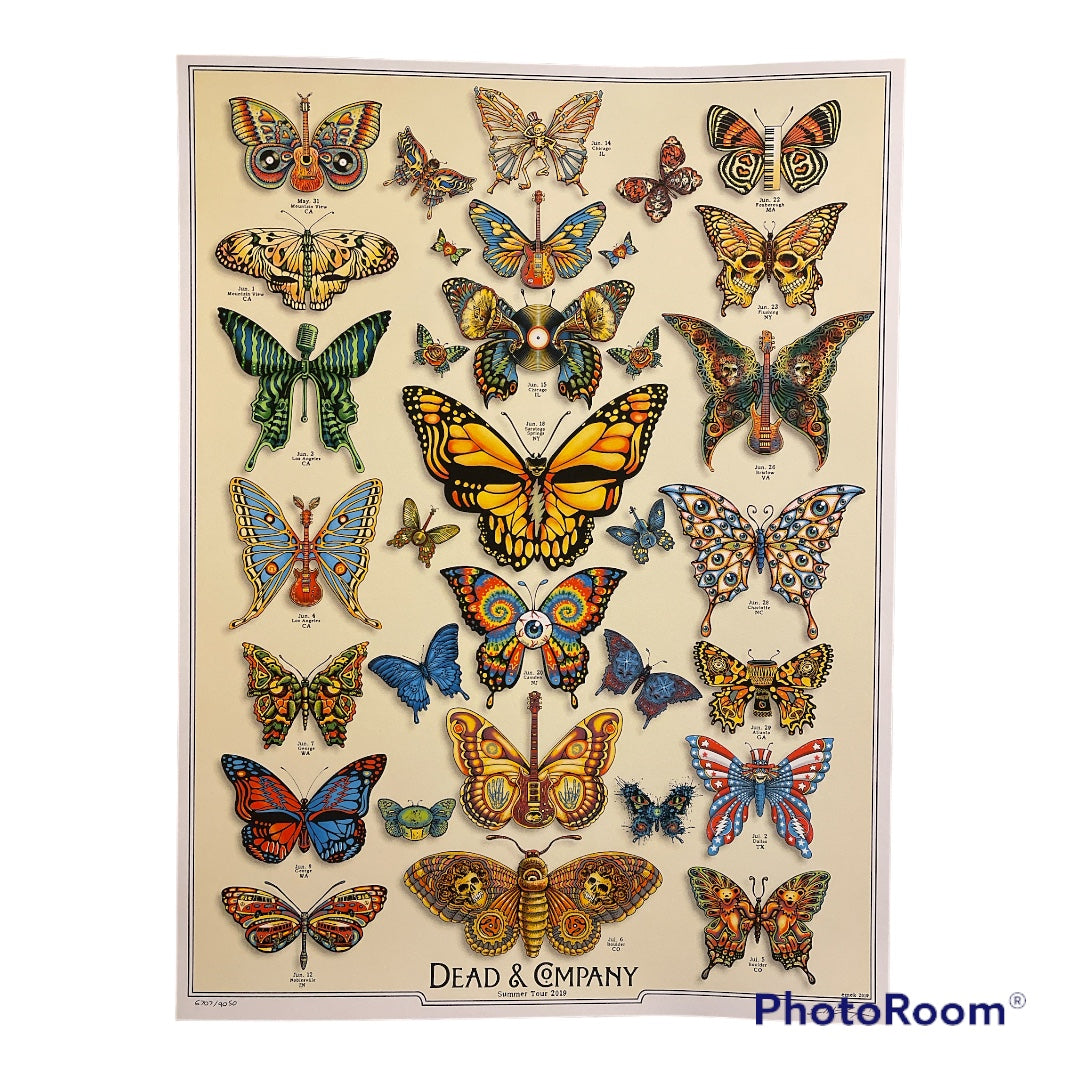 dead and company butterfly poster