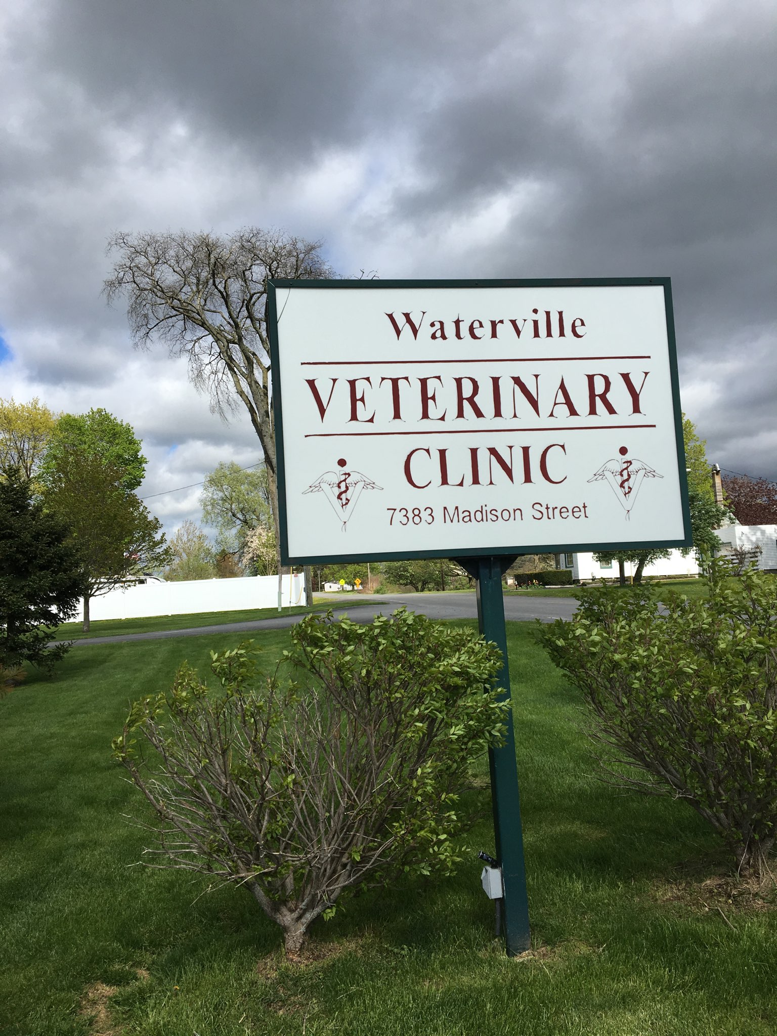 waterville veterinary clinic maine