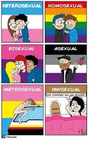 heterosexual nedir