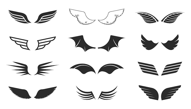 wings illustration vector