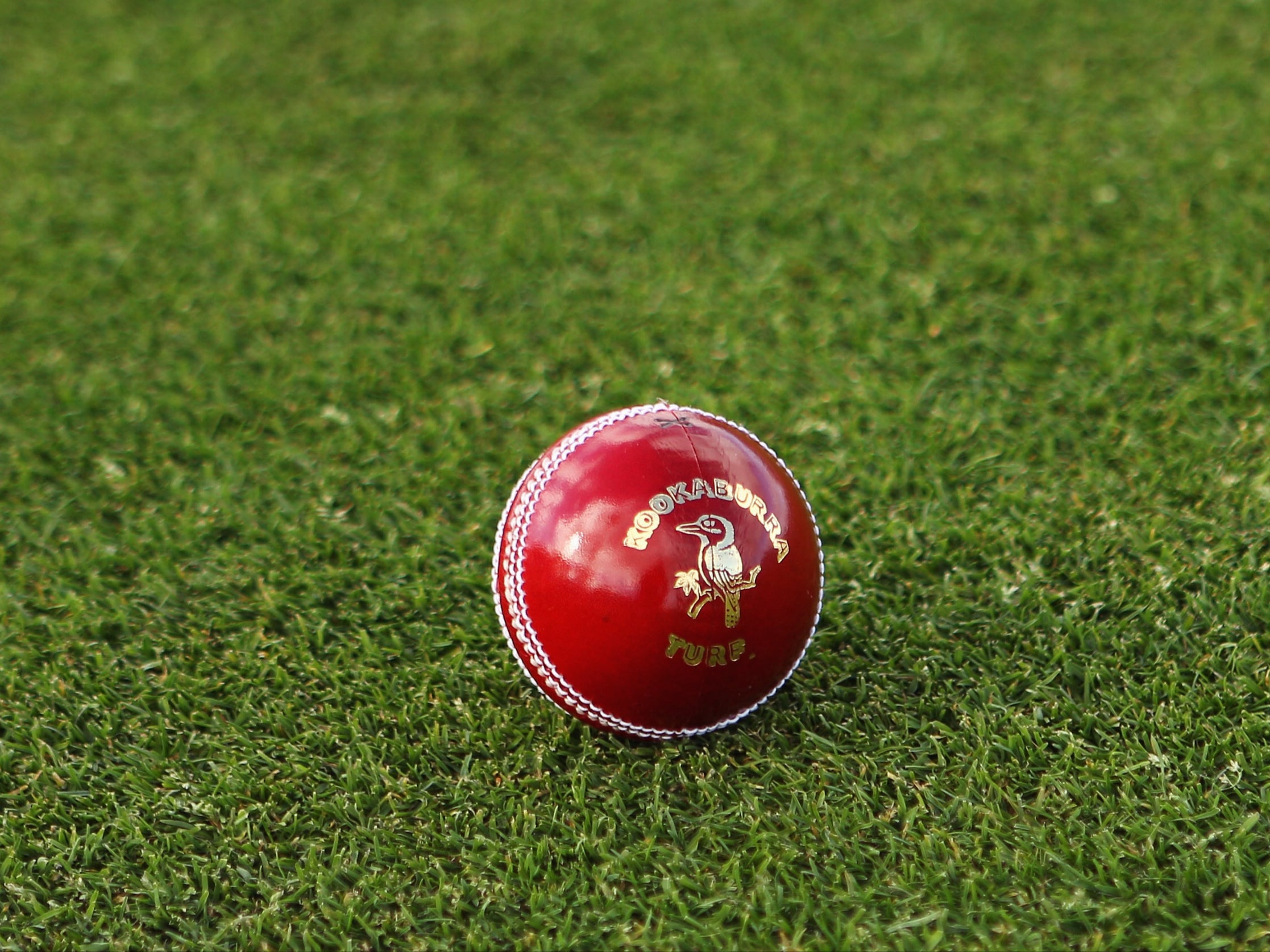 ball by ball cricket score