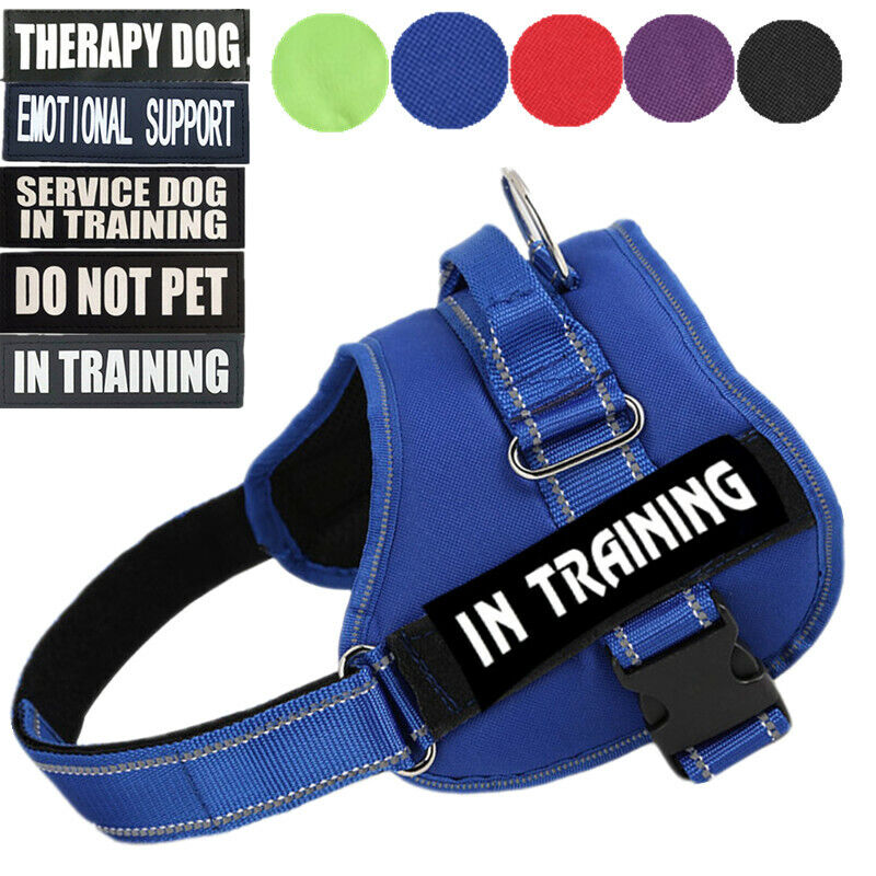 do not pet dog harness