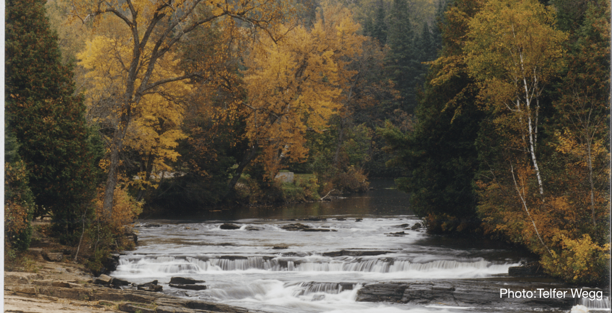 grey bruce cremation