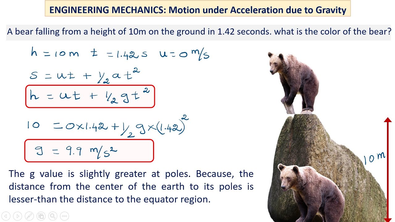 a bear falling from a height of 10m