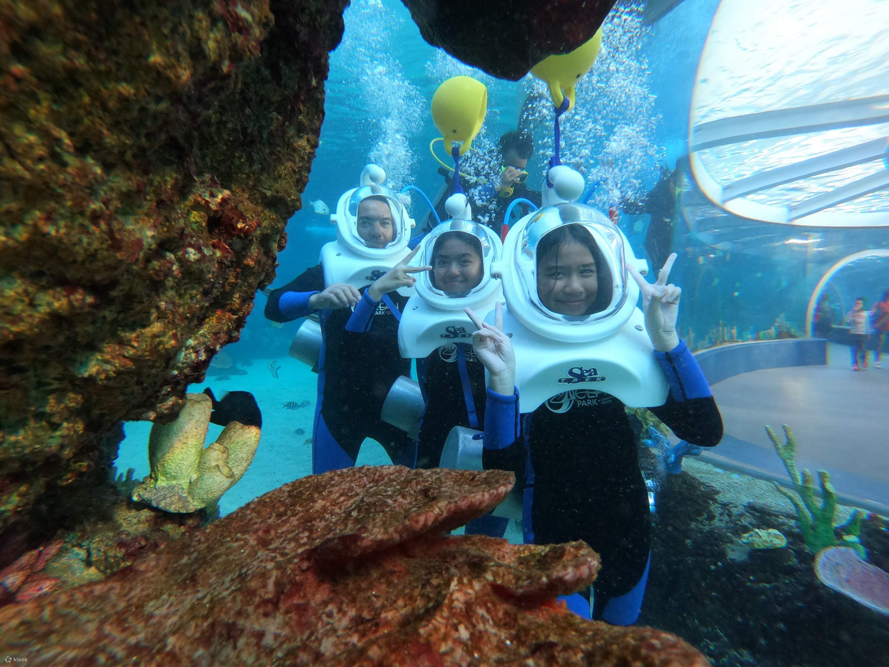 cebu ocean park ticket online booking