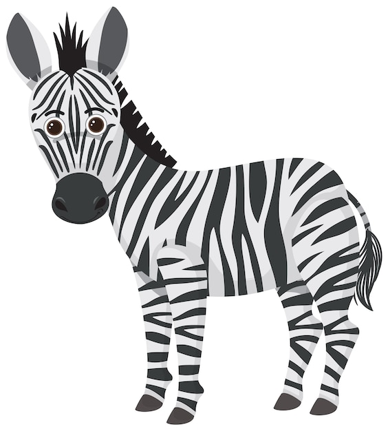 clip art zebra