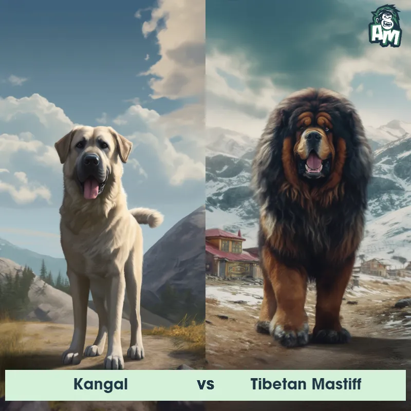 tibetan mastiff vs kangal