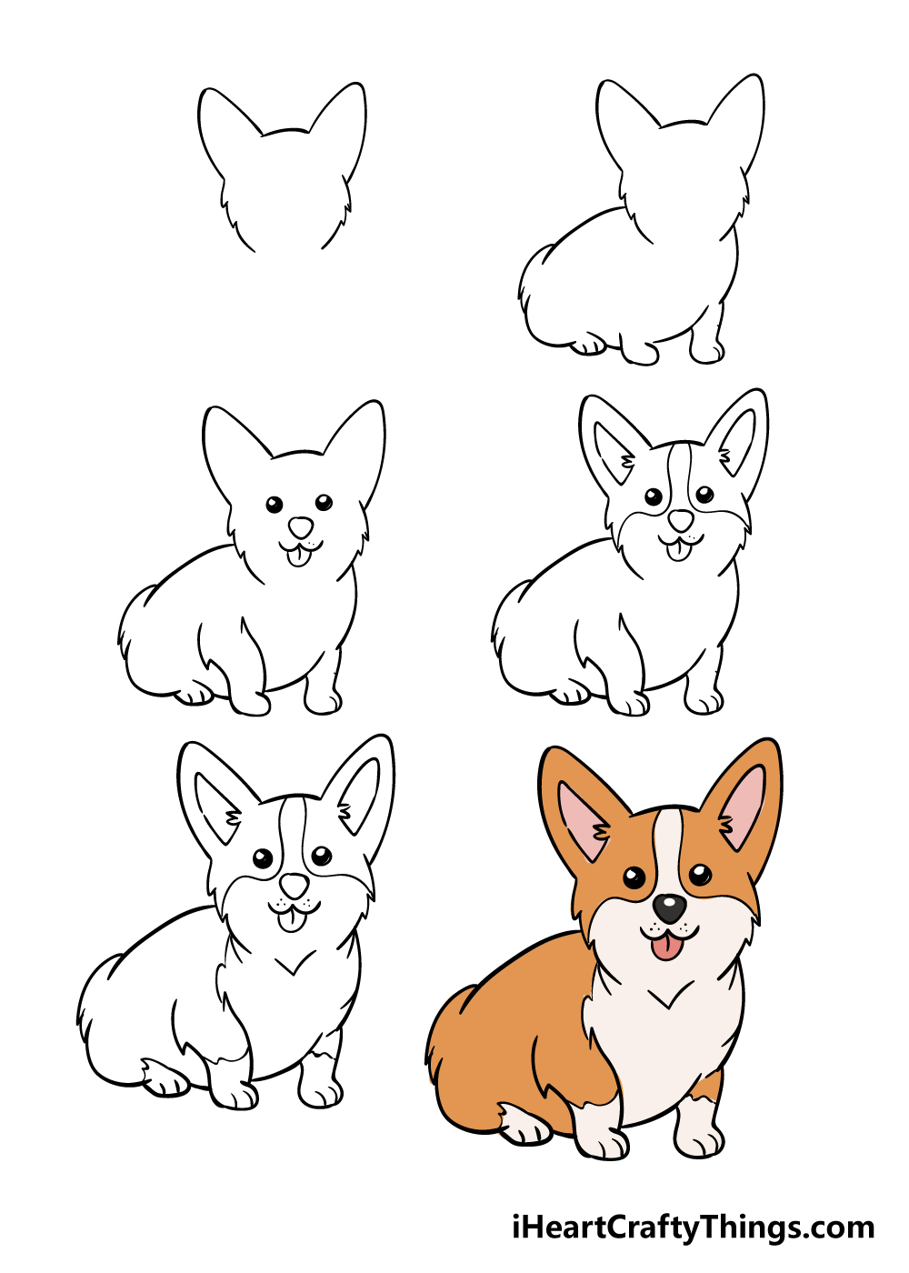 how to draw a corgi