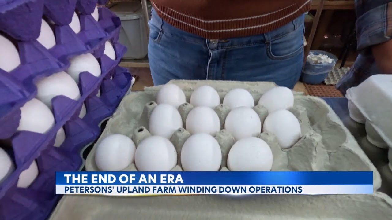 egg farm wahiawa