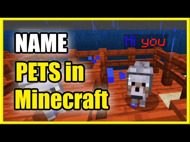 how to name a animal in minecraft