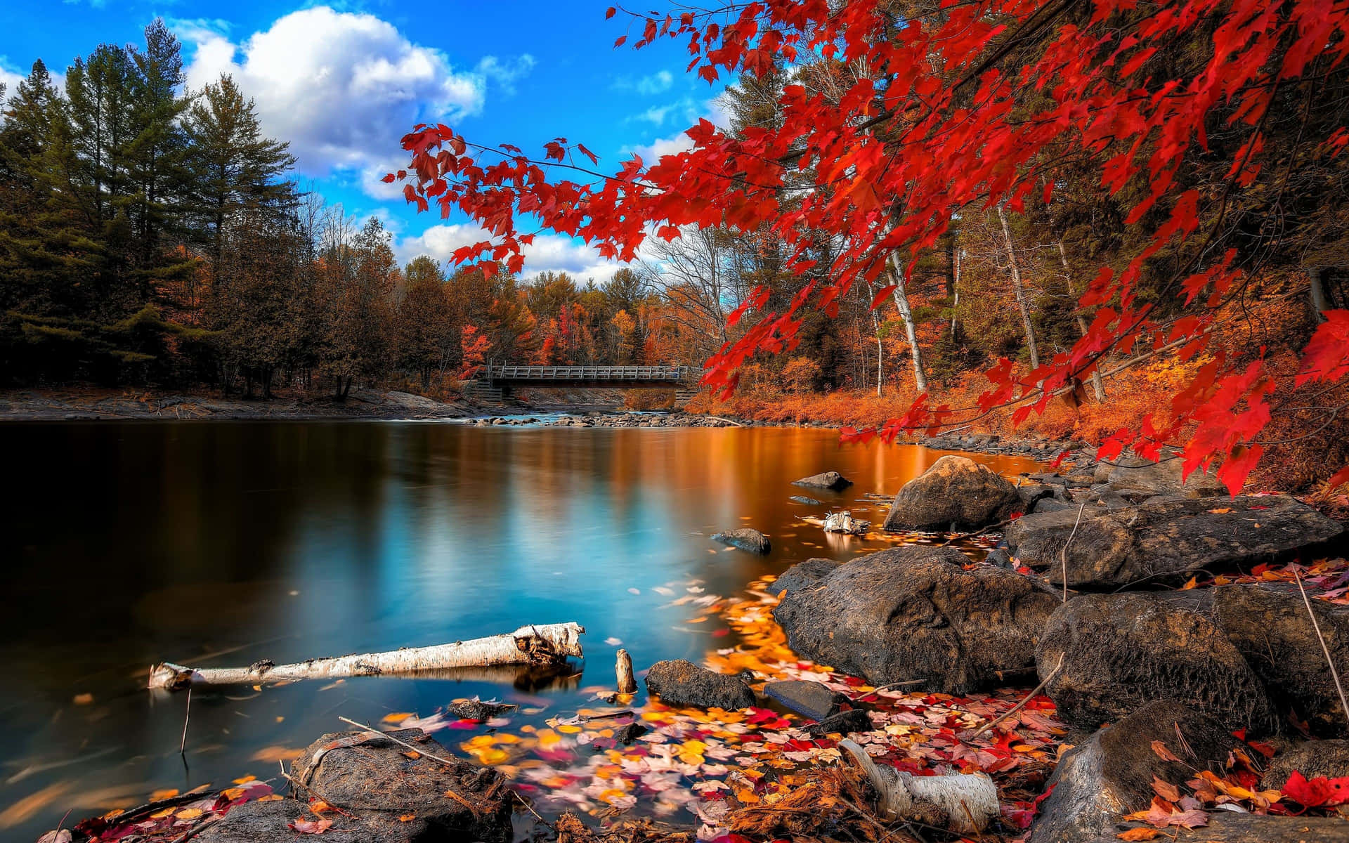 fall scene image