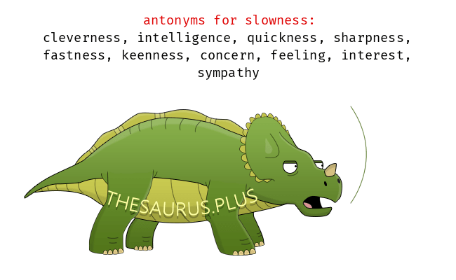 synonyms for slowness