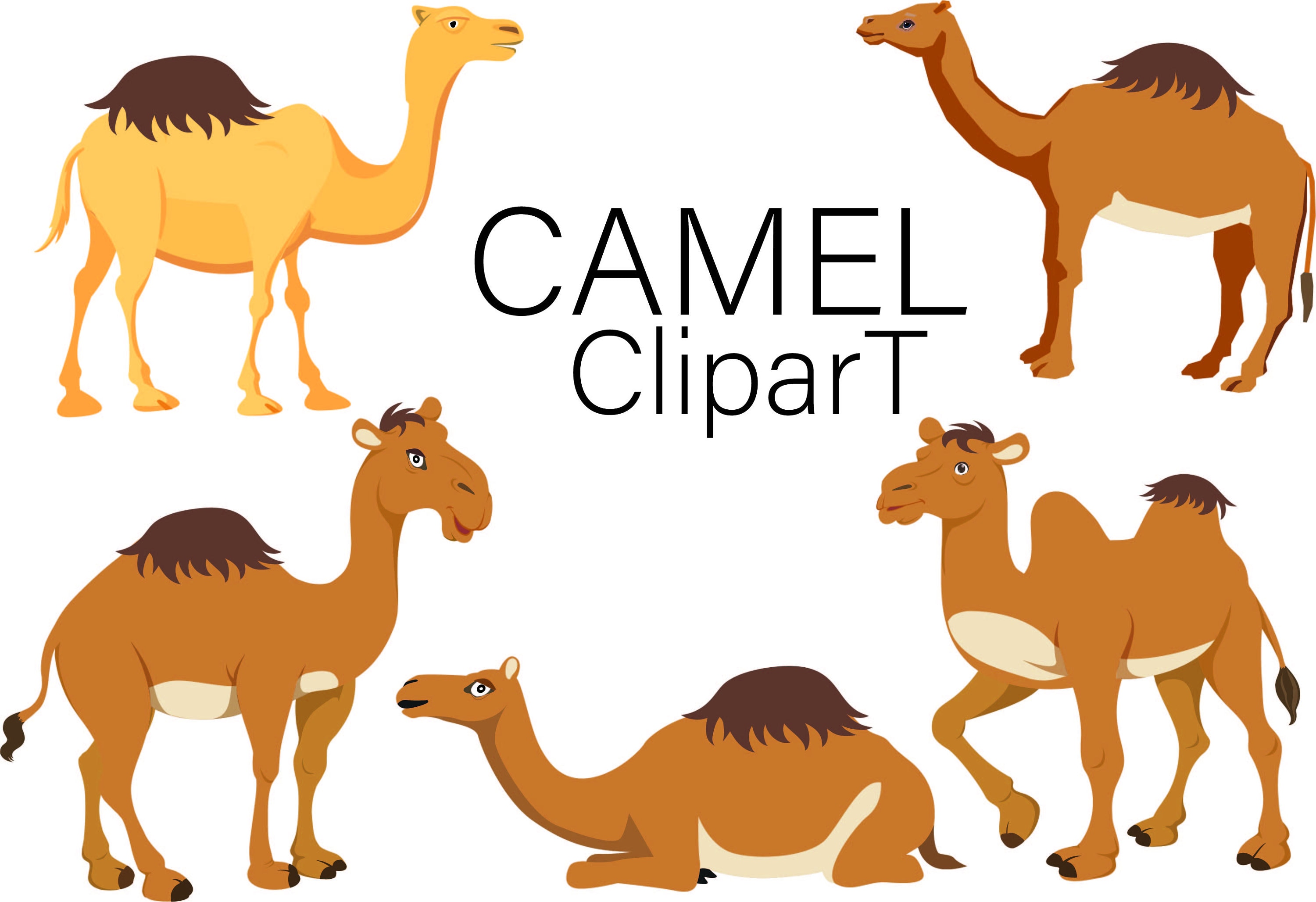 camel clip art