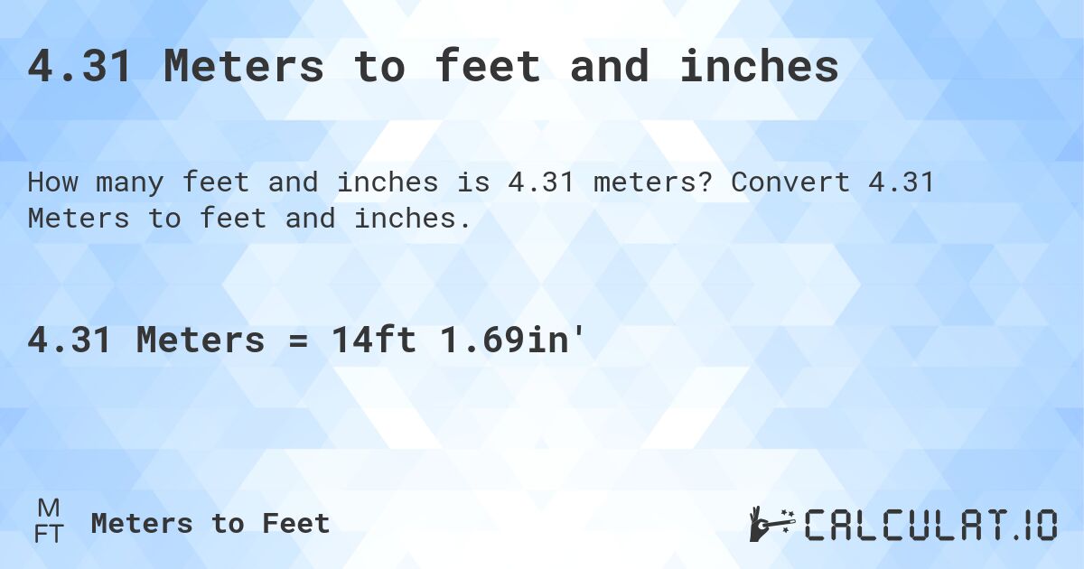 4.31 meters to feet